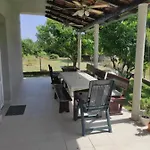 Bellacosta Iii